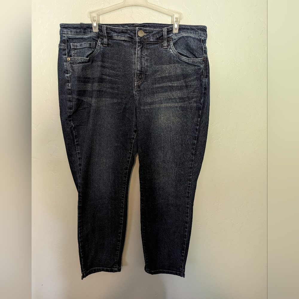 Lane Bryant Skinny Jeans